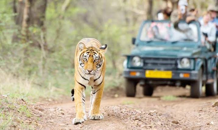 Jungle Safari  at  Kalagarh Tiger Reserve .